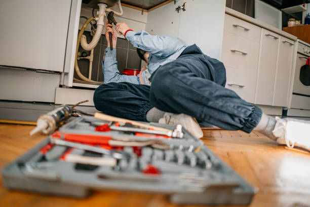 Best Plumbing Repair Near Me  in South Holland, IL