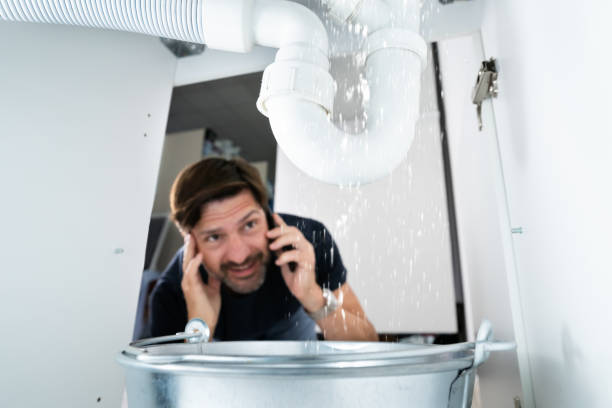 Best Septic Systems  in South Holland, IL