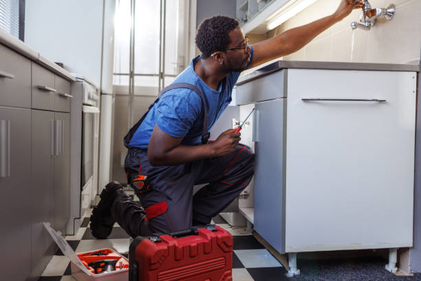 Best Sewer Line Repair  in South Holland, IL