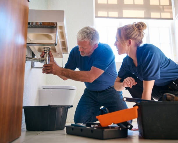 Best Affordable Plumber Near Me  in South Holland, IL